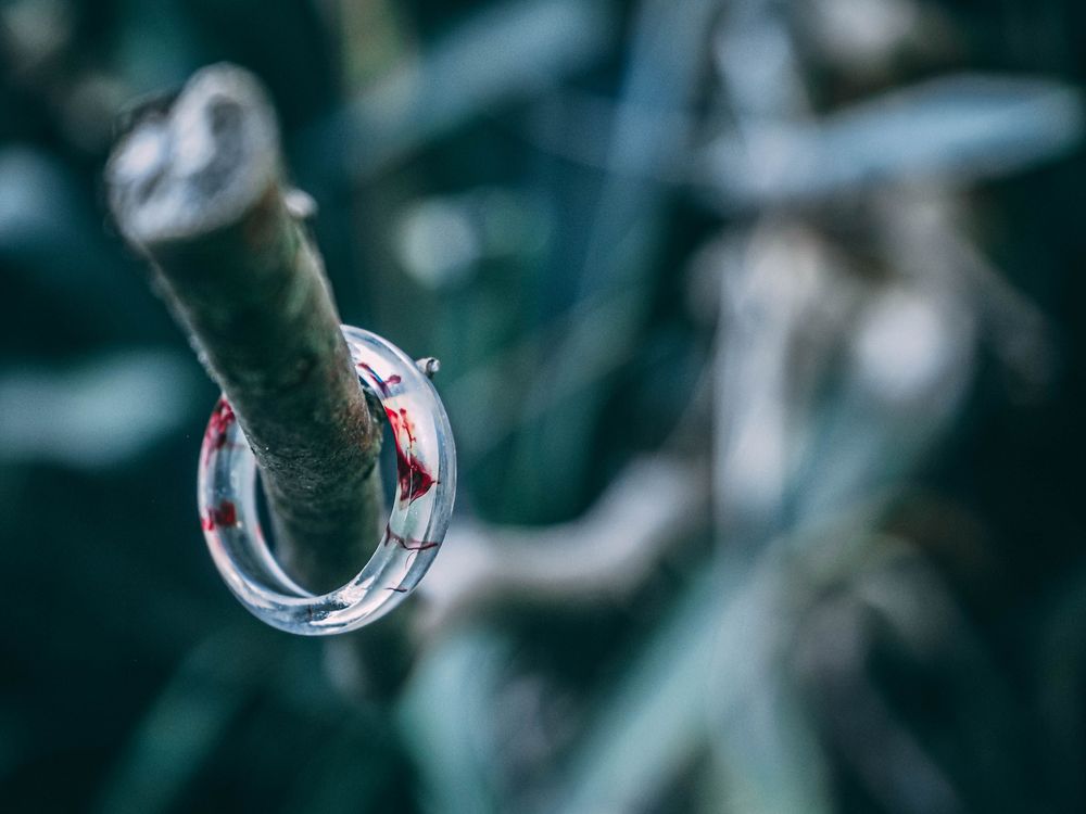 Obrázek k článku Focení: DK Fanta